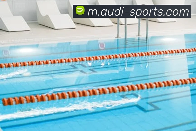 App Interface Preview